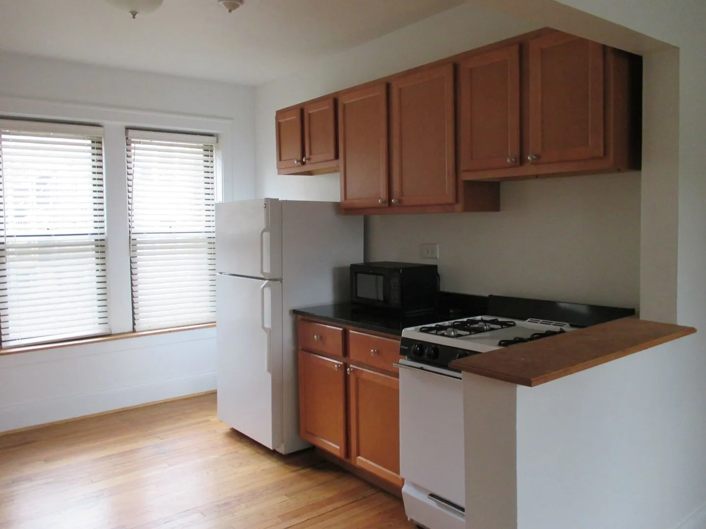 925 W Oakdale Ave, , 60657, USA 60657-unit#1F-Chicago-IL