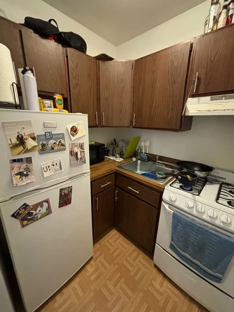 905 W George St, ,  60657, USA 60657-unit#2-Chicago-IL