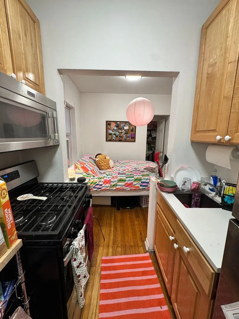 511 W Deming Pl, ,  60614, USA 60614-unit#1S-Chicago-IL