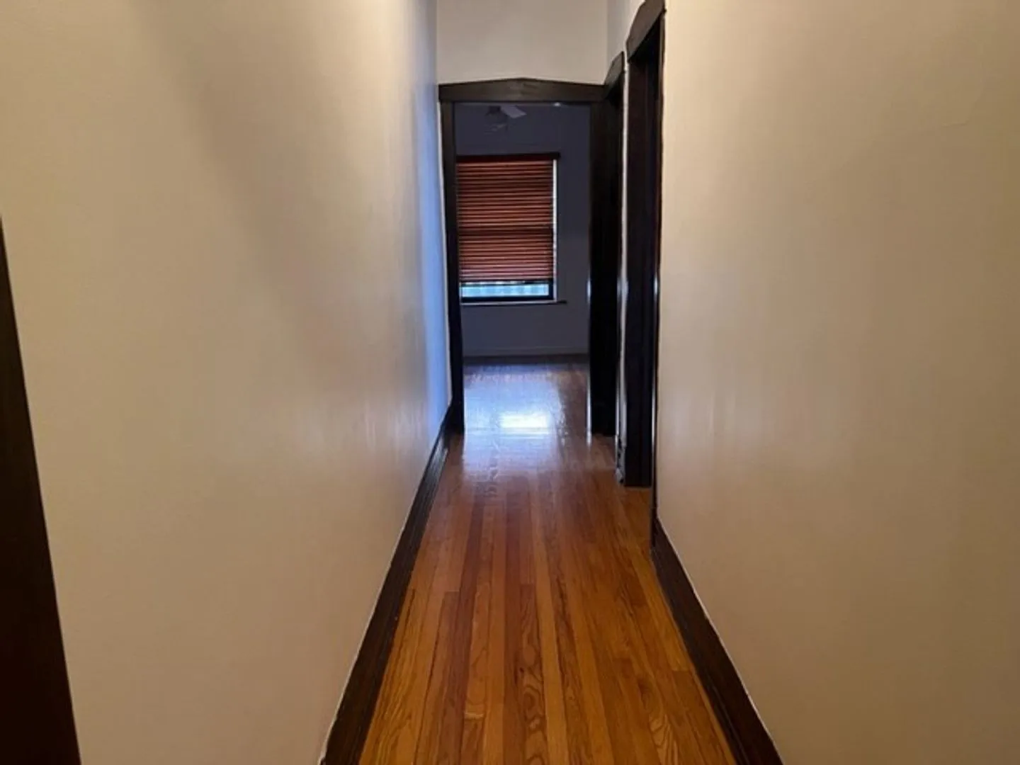 1526 W Berteau Ave, ,  60613, USA 60613-unit#3-Chicago-IL