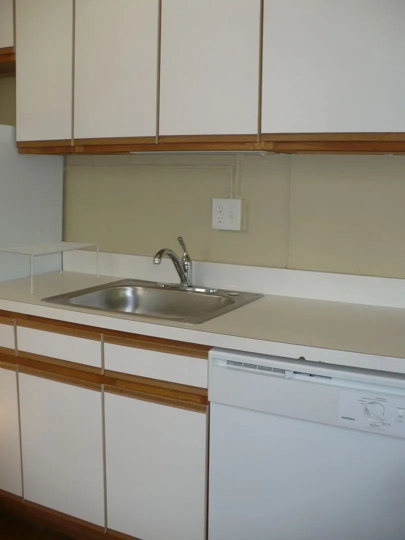 915 W George St, , 60657, USA 60657-unit#2A-Chicago-IL