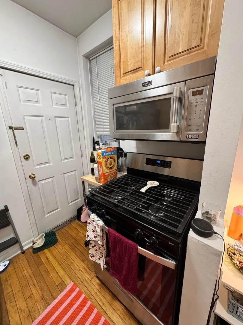 511 W Deming Pl, ,  60614, USA 60614-unit#1S-Chicago-IL