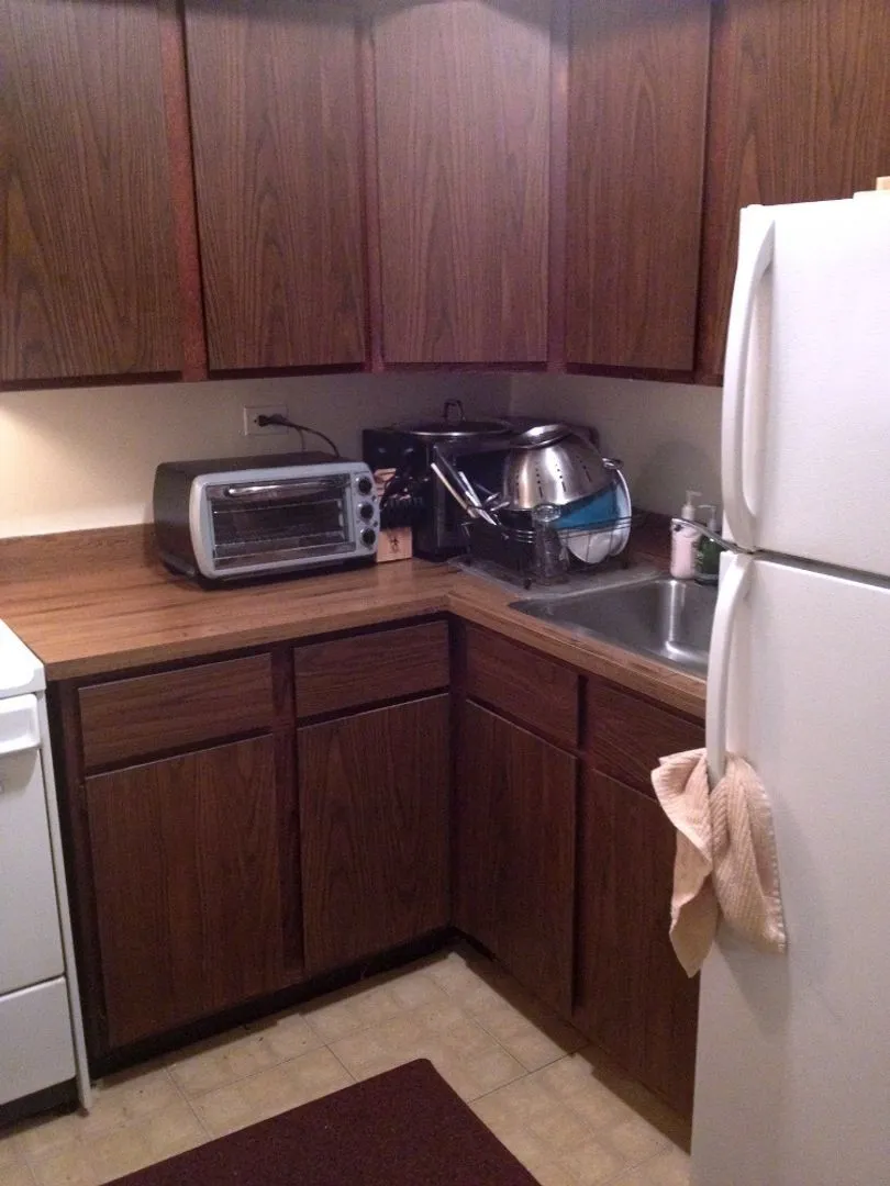 911 W George St, , 60657, USA 60657-unit#3-Chicago-IL
