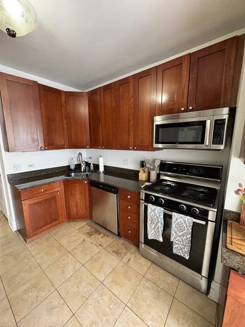 447 W Oakdale Ave, ,  60657, USA 60657-unit#2-Chicago-IL