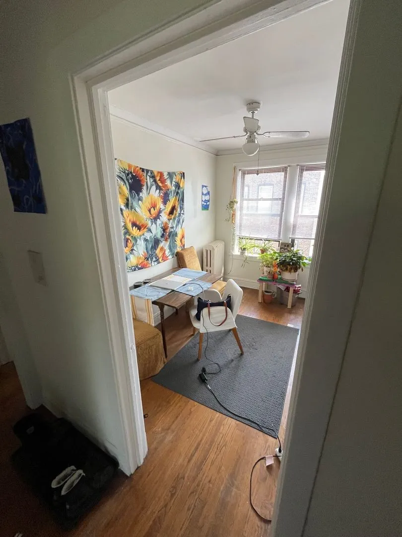 3551 N Janssen Ave, , 60657, USA 60613-unit#3-Chicago-IL