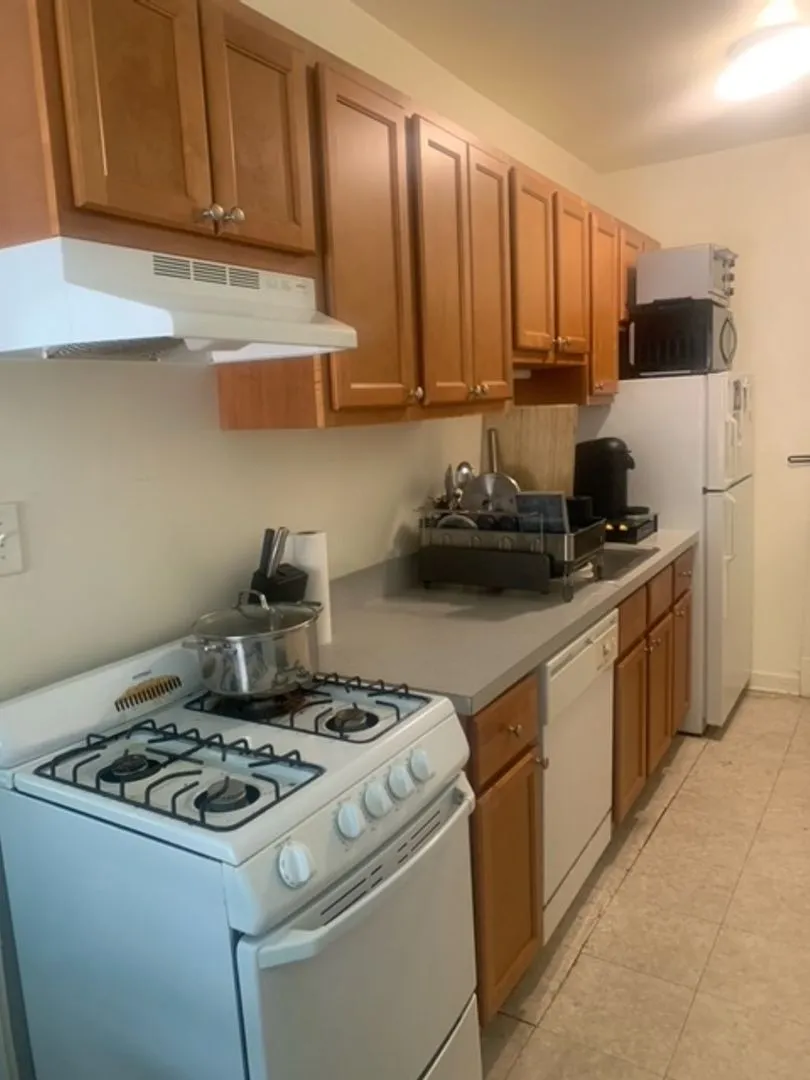 2858 N Mildred Ave, ,  60657, USA 60657-unit#2-Chicago-IL