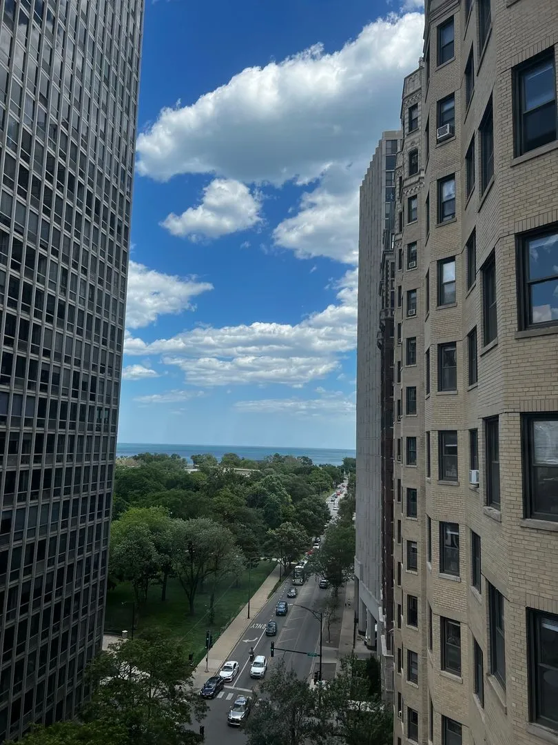 415 W Fullerton Pkwy, ,  60614, USA 60614-unit#1202-Chicago-IL