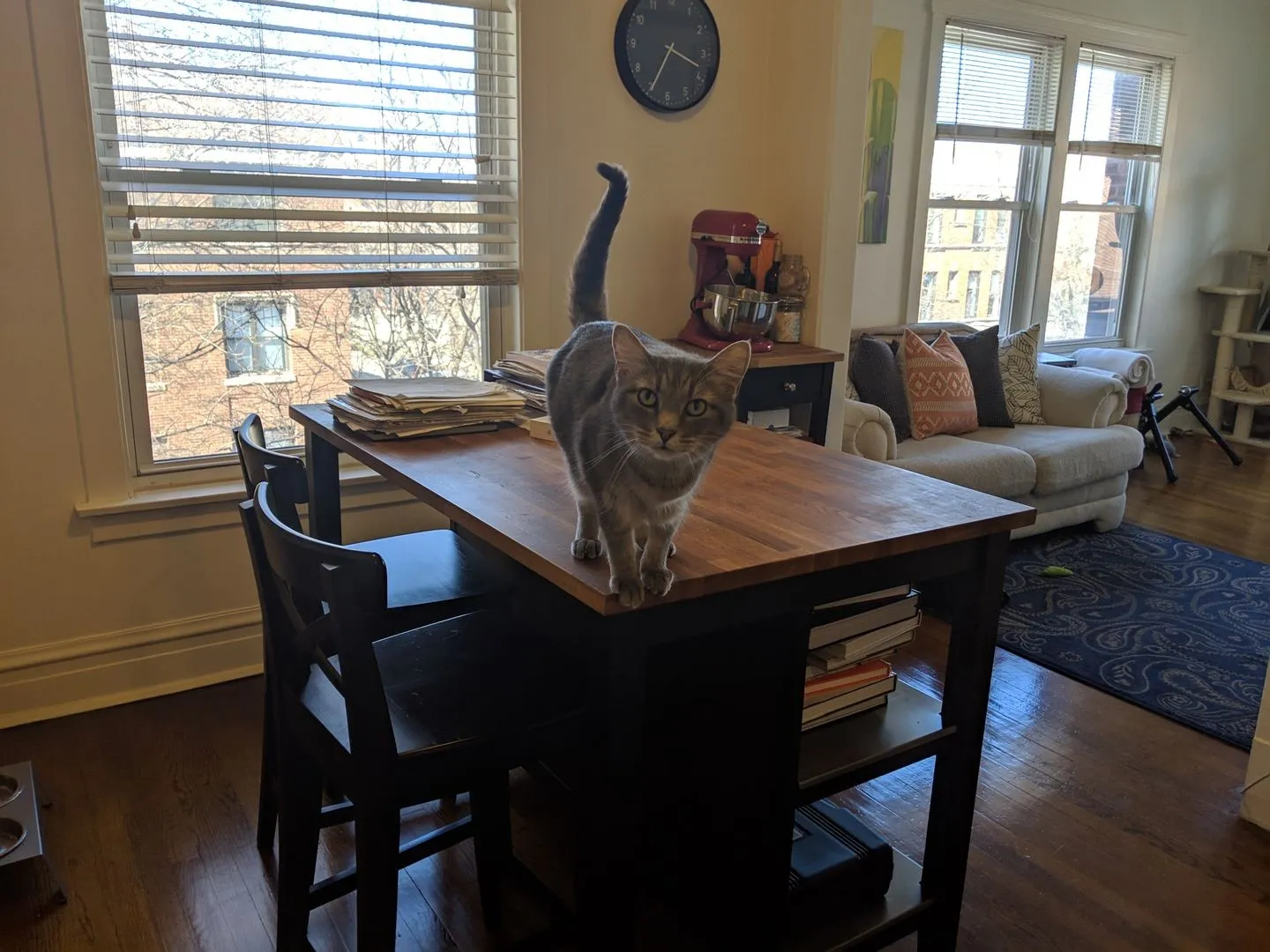 2858 N Mildred Ave, ,  60657, USA 60657-unit#3-Chicago-IL
