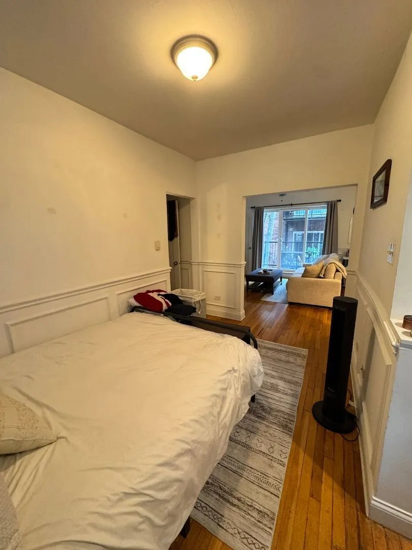 501 W Deming Pl, ,  60614, USA 60614-unit#2S-Chicago-IL