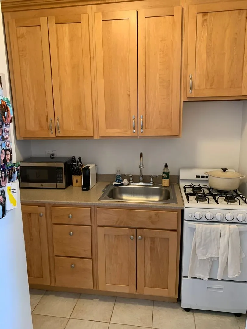415 W Fullerton Pkwy, , 60614, USA 60614-unit#1203-Chicago-IL