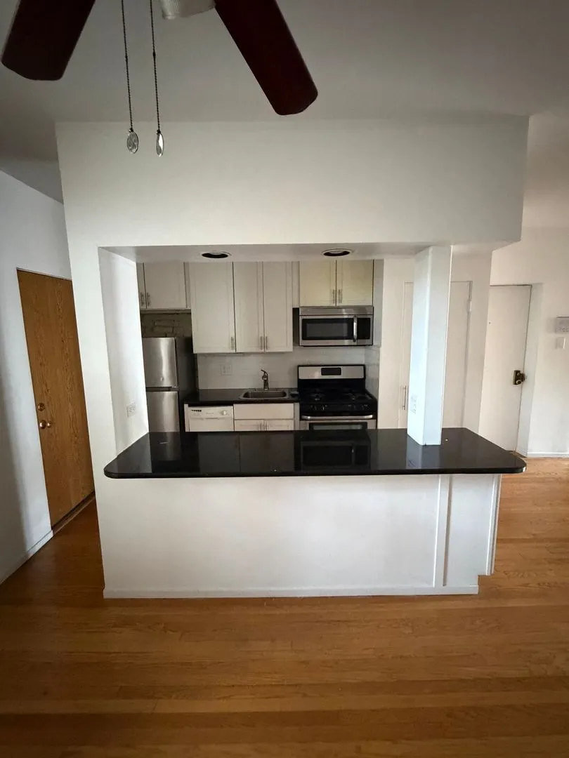 1623 W Grace St, , 60613, USA 60613-unit#2-Chicago-IL