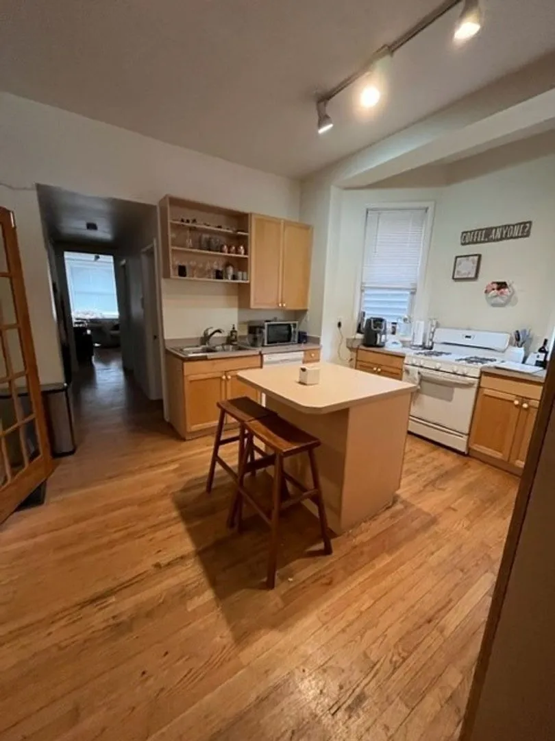 3046 N Clifton Ave, ,  60657, USA 60657-unit#1F-Chicago-IL