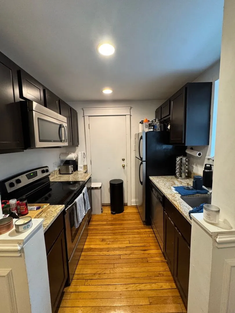 501 W Deming Pl, ,  60614, USA 60614-unit#2S-Chicago-IL