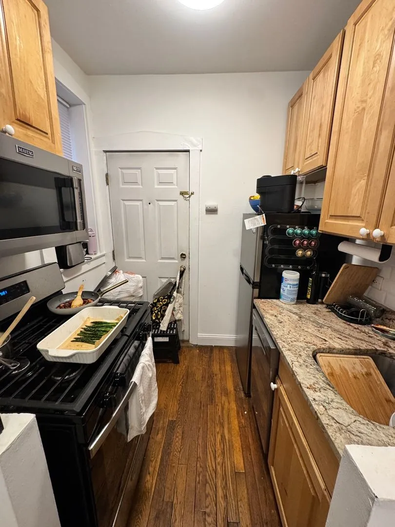 515 W Deming Pl, ,  60614, USA 60614-unit#1S-Chicago-IL