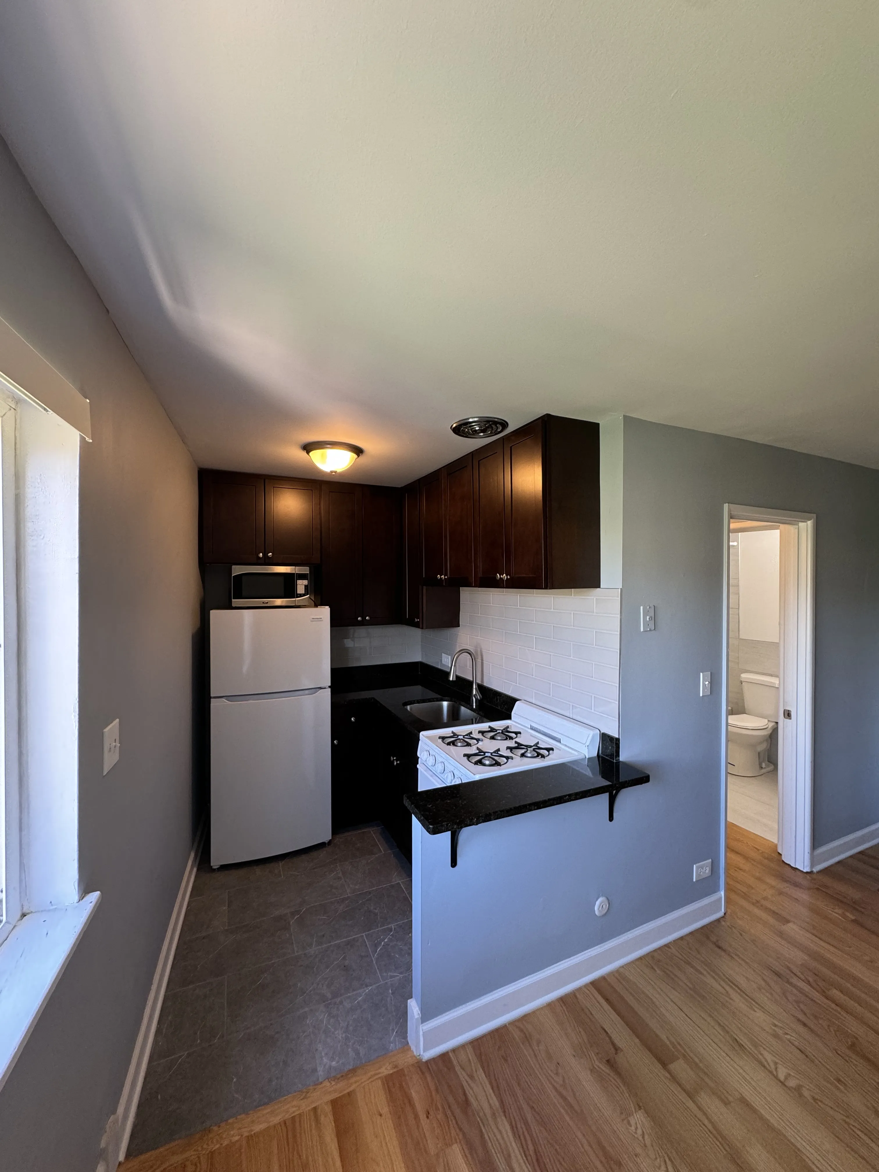 663 W Grace St, , 60613, USA 60613-unit#101-Chicago-IL