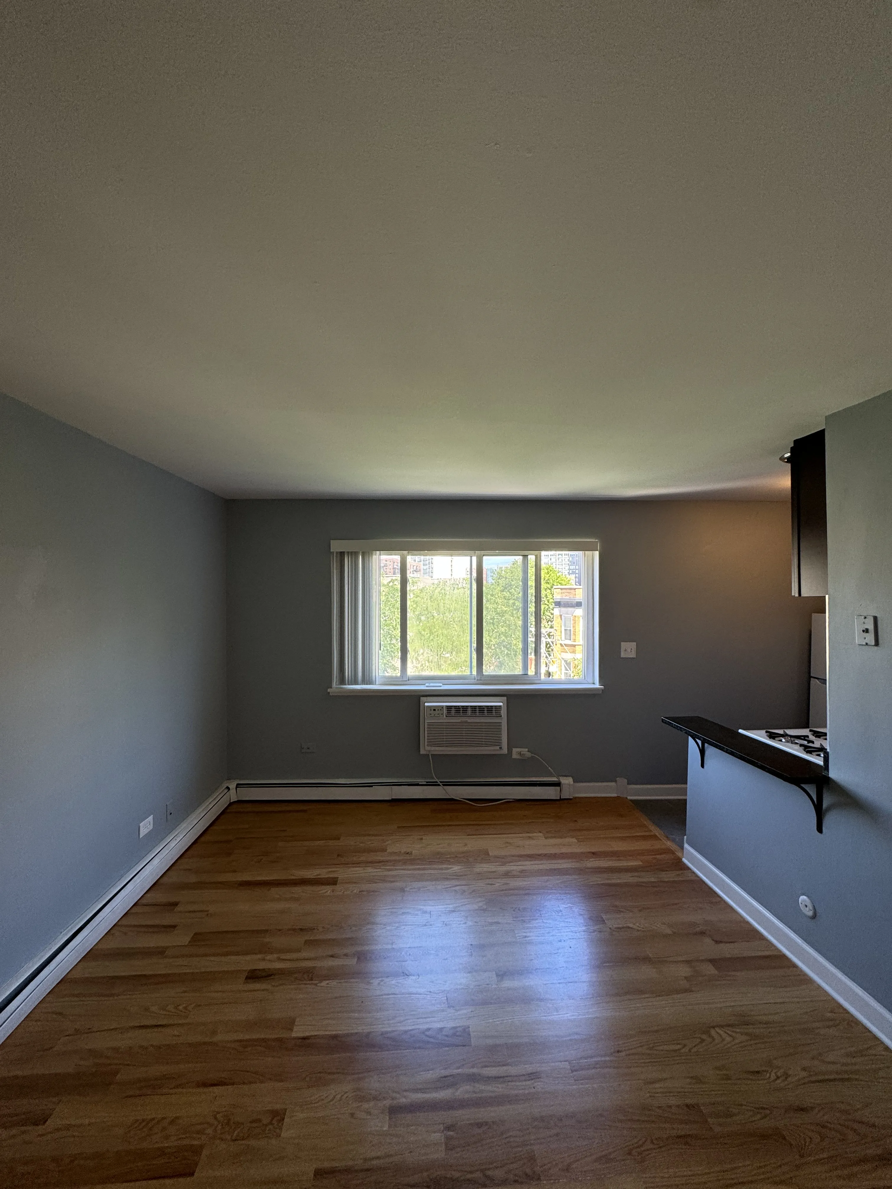663 W Grace St, ,  60613, USA 60613-unit#101-Chicago-IL