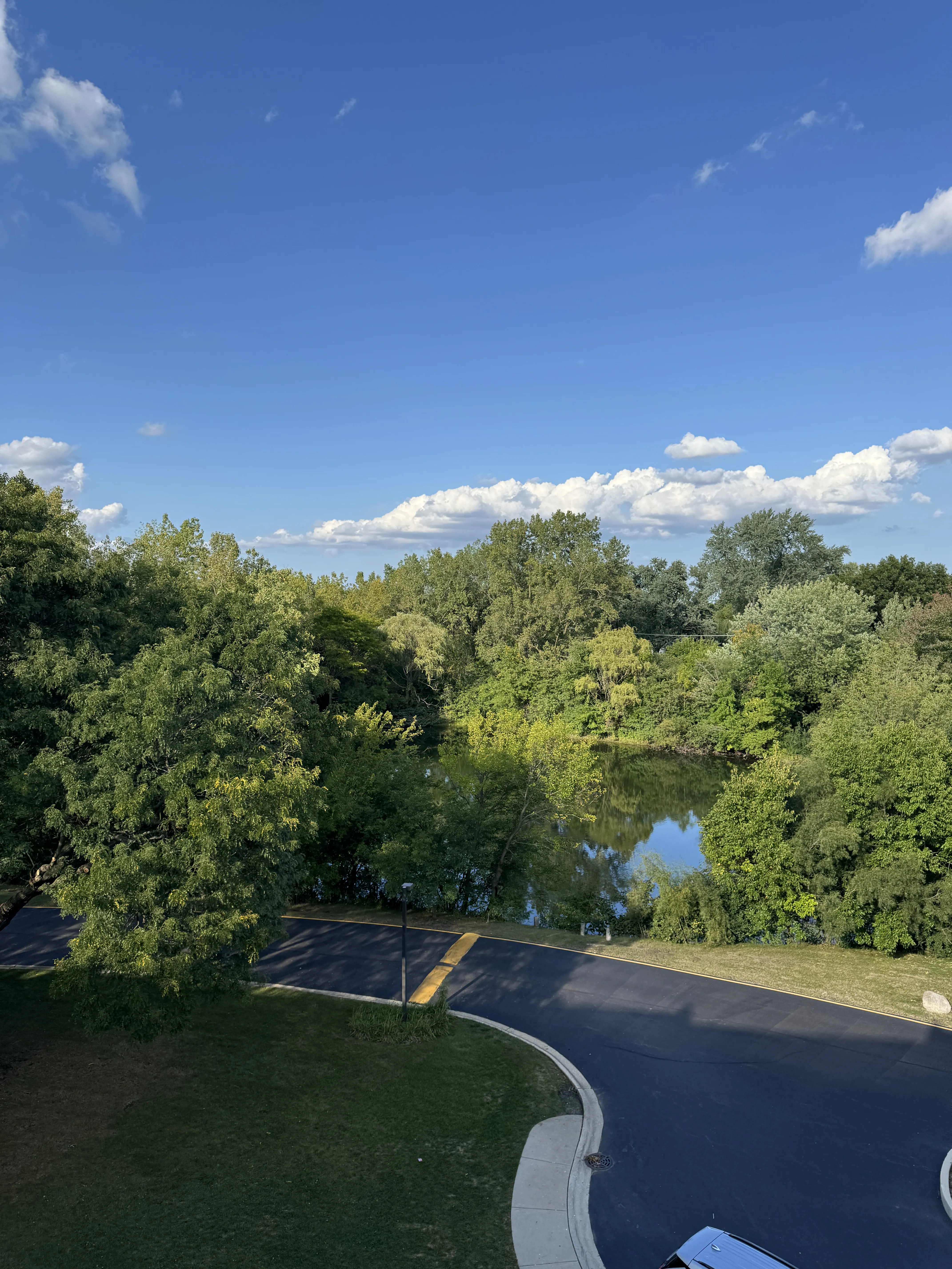525 N Quentin Rd, ,  60067, USA 60067-unit#406-Palatine-IL