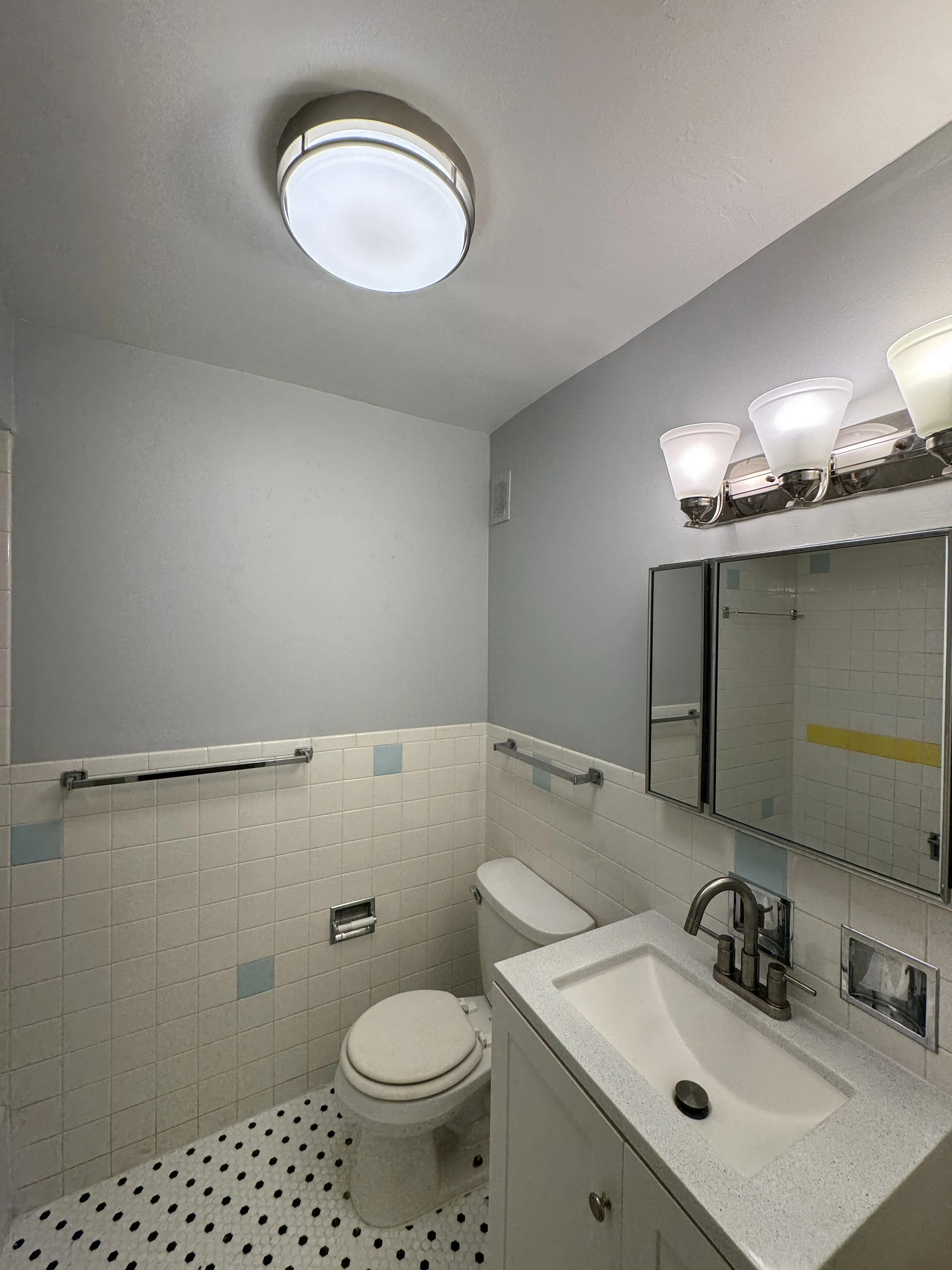 8644  Blvd, ,  60077, USA 60077-unit#101-Skokie-IL