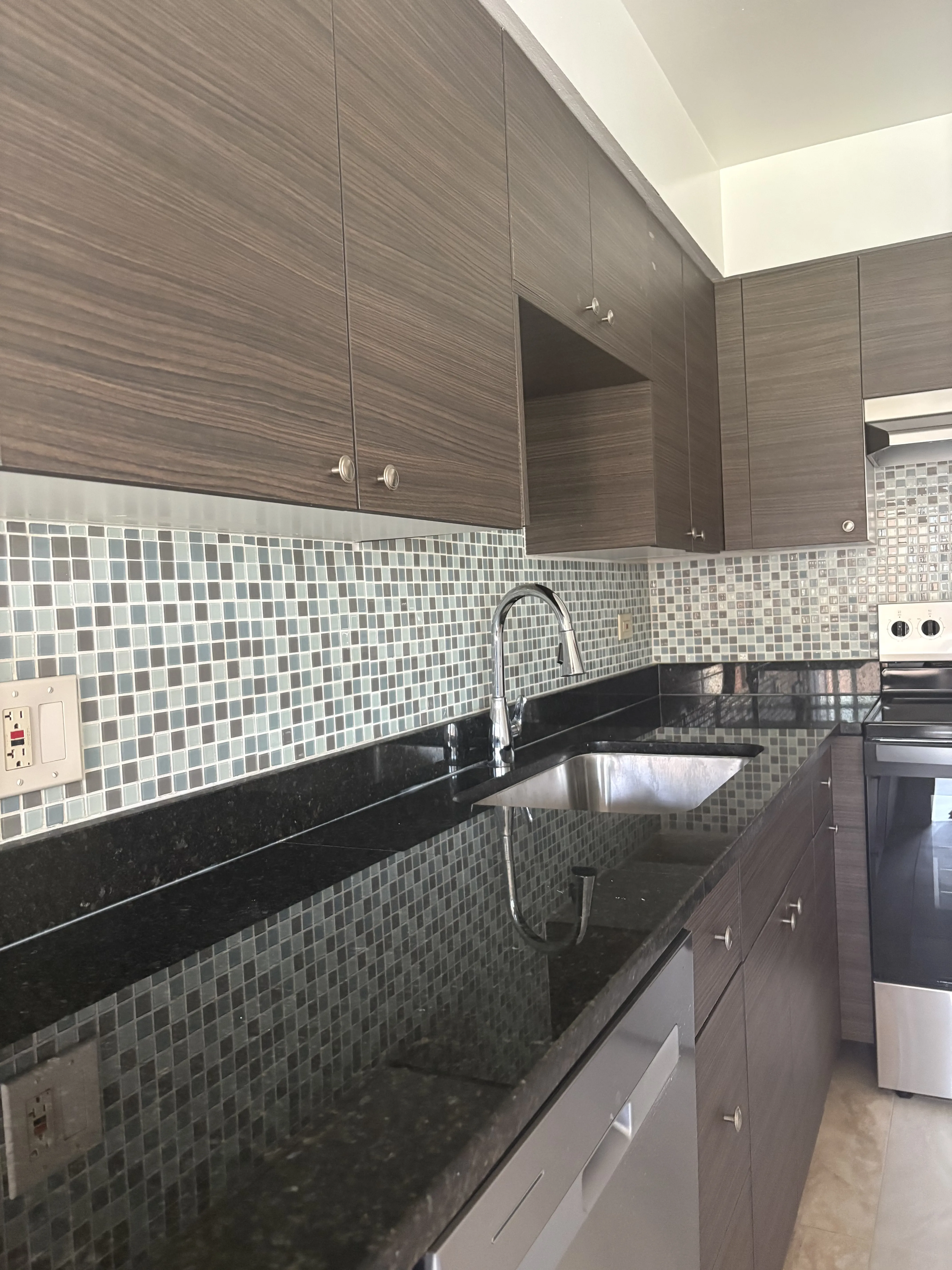 1004 S River Rd, ,  60016, USA 60016-unit#101-Des Plaines-IL
