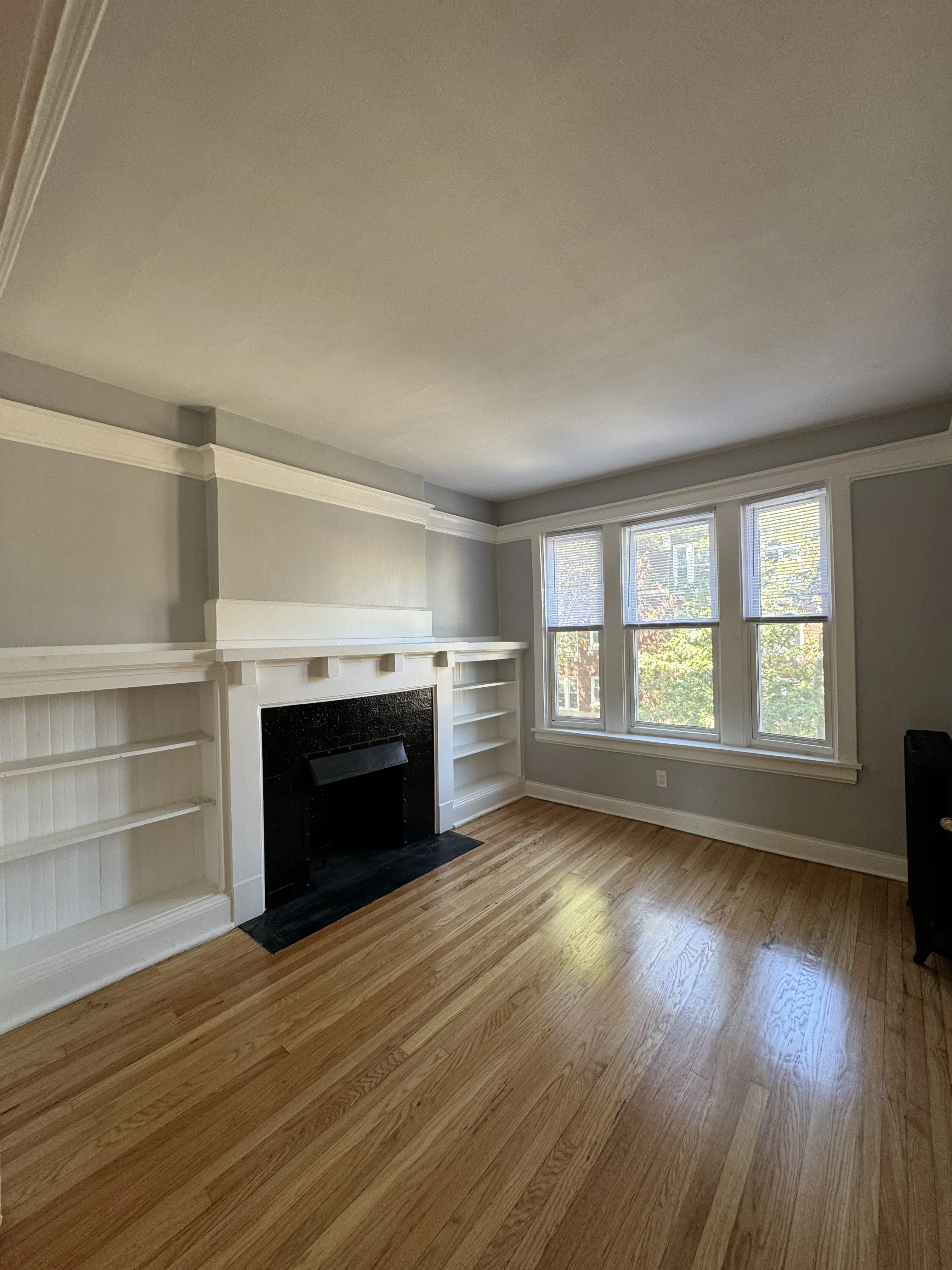 1251 W Rosemont Ave, , 60660, USA 60660-unit#3-Chicago-IL