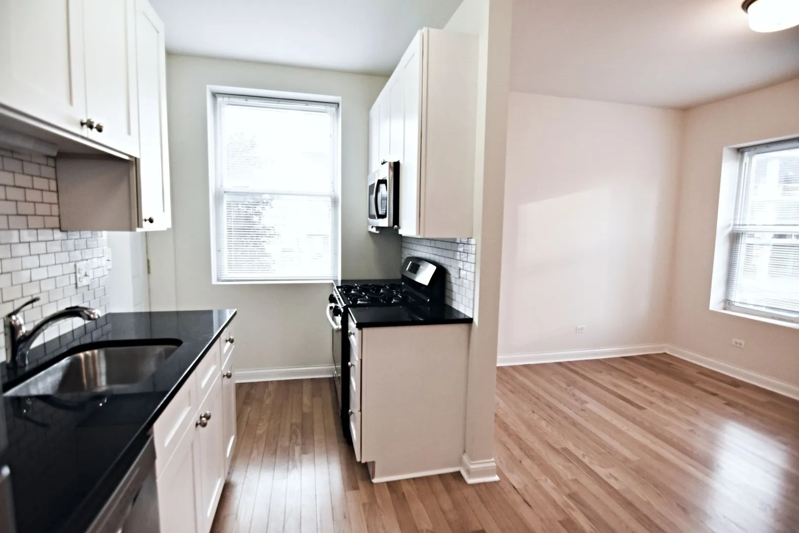 712 W Grace St, ,  60613, USA 60613-unit#GR 716-1N-Chicago-IL