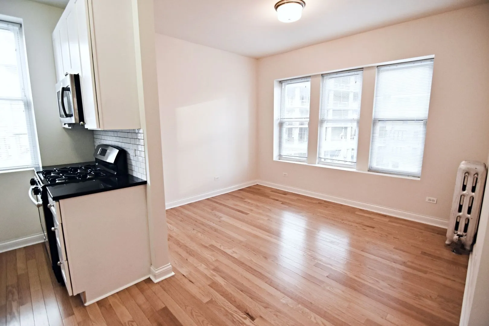 712 W Grace St, ,  60613, USA 60613-unit#GR 716-1N-Chicago-IL