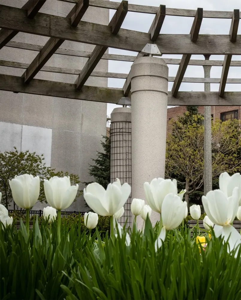 5958 N Kenmore Ave, ,  60660, USA 60660-unit#504-Chicago-IL