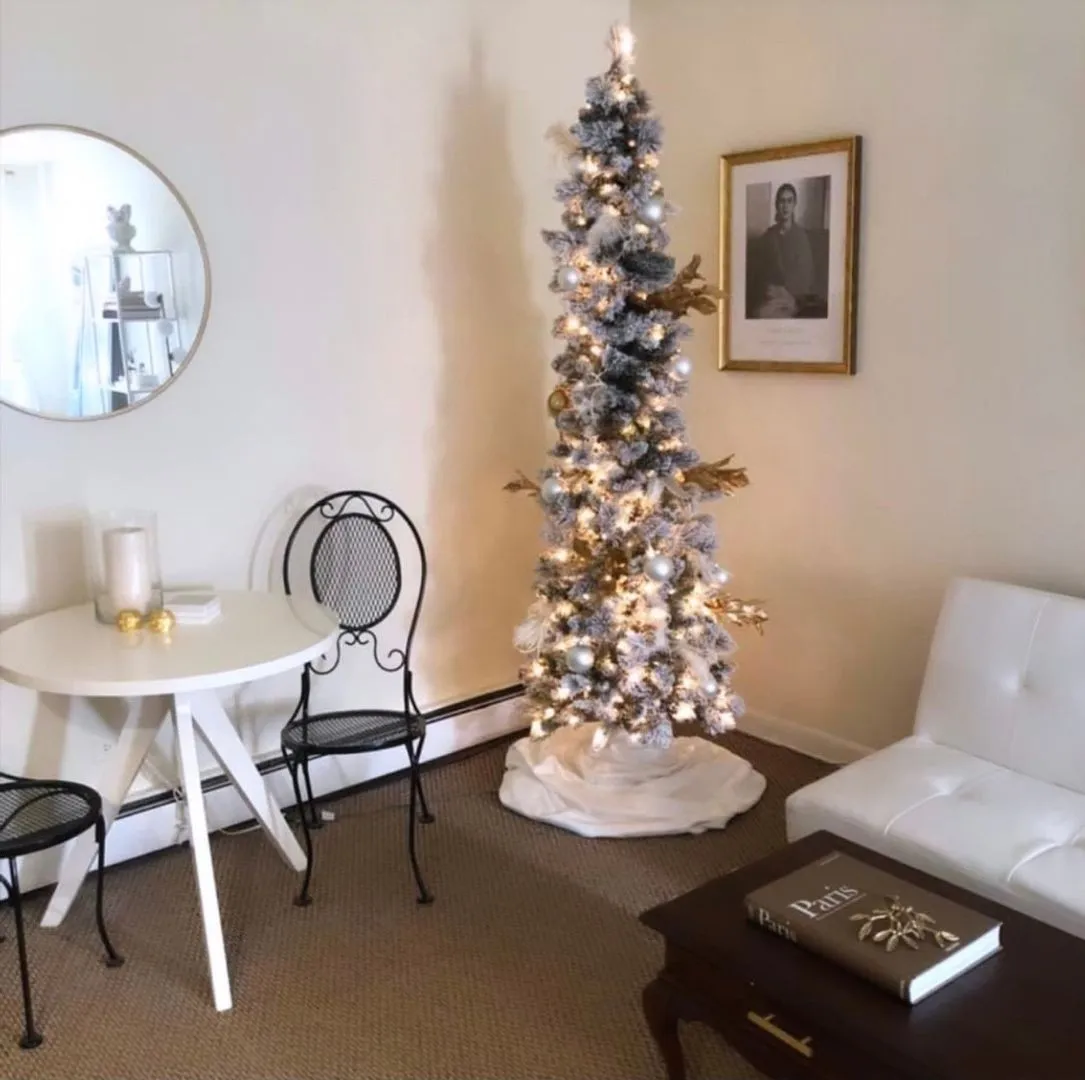 421 W Barry Ave, ,  60657, USA 60657-unit#401-Chicago-IL