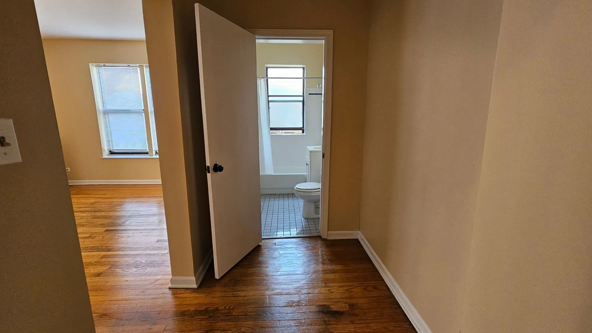 7726 N Marshfield Ave, ,  60626, USA 60626-unit#2B-Chicago-IL