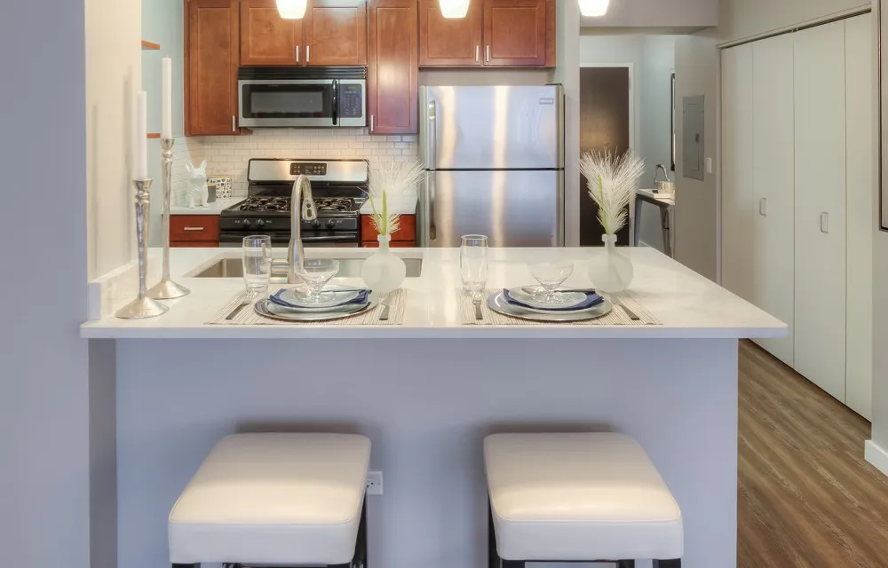 355 E Ohio St, ,  60611, USA 60611-unit#1/1 + DEN-Chicago-IL