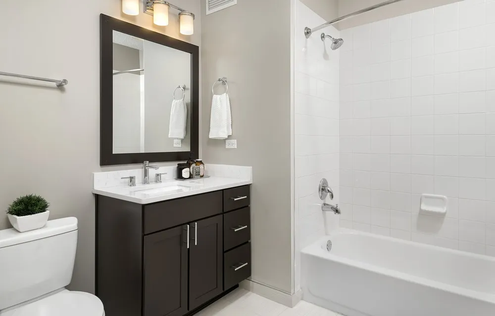 355 E Ohio St, ,  60611, USA 60611-unit#1/1 + DEN-Chicago-IL