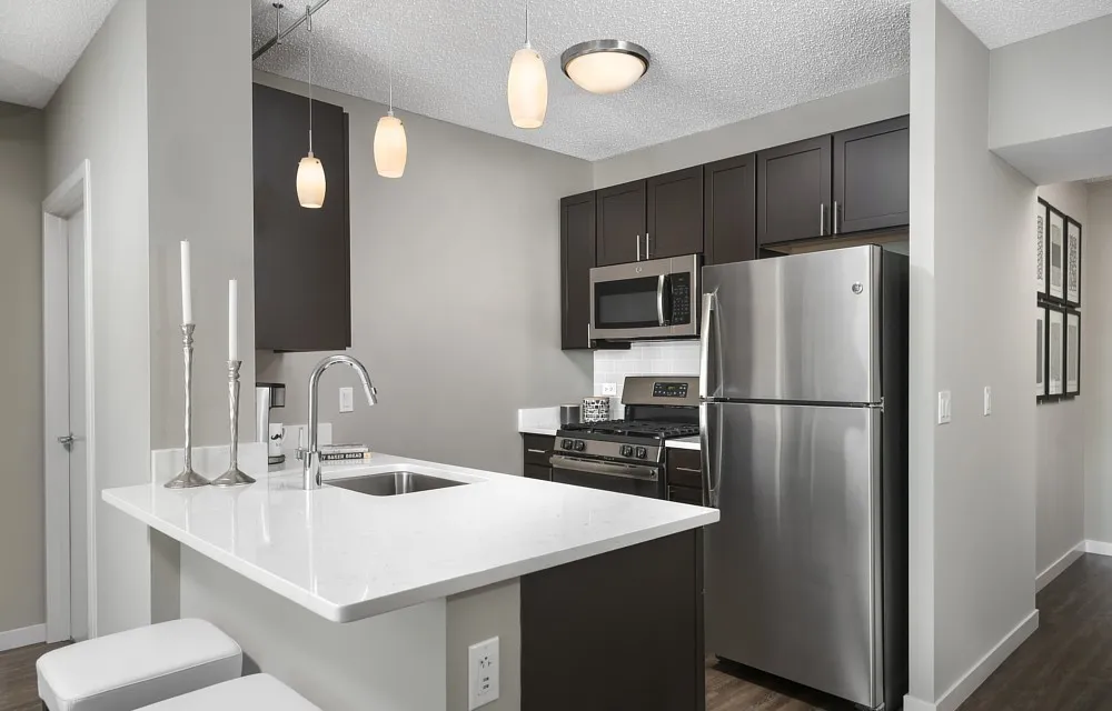 355 E Ohio St, ,  60611, USA 60611-unit#1/1 + DEN-Chicago-IL