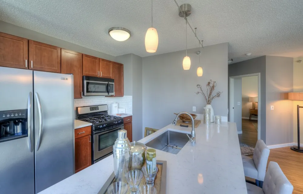 355 E Ohio St, , 60611, USA 60611-unit#3/2-Chicago-IL