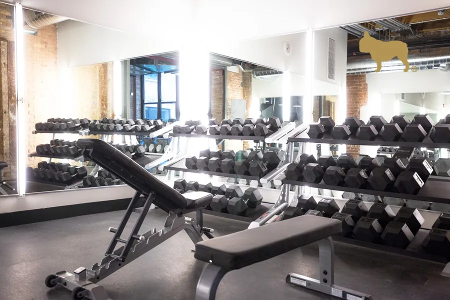 1435 W 15th St, ,  60608, USA 60608-unit#2/2-Chicago-IL