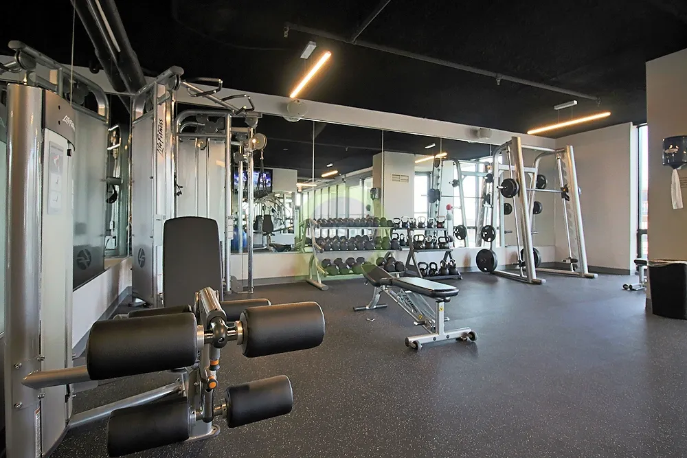 2138 S Indiana Ave, ,  60616, USA 60616-unit#2/2 LOFT-Chicago-IL