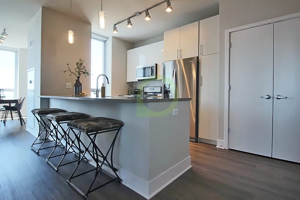801 S Financial Pl, ,  60605, USA 60605-unit#3/2-Chicago-IL