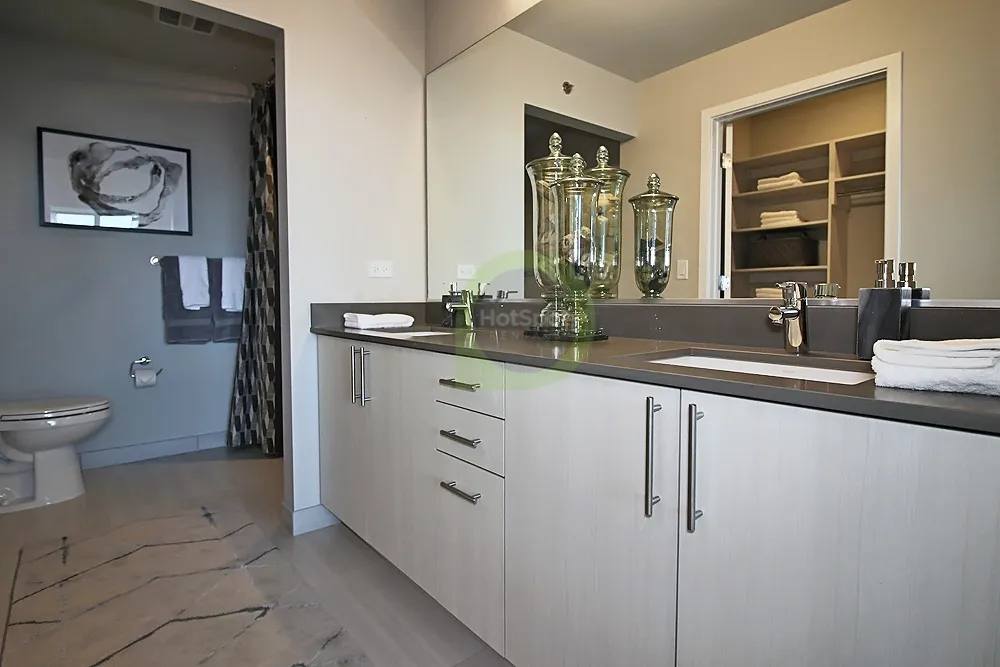 801 S Financial Pl, ,  60605, USA 60605-unit#3/2-Chicago-IL