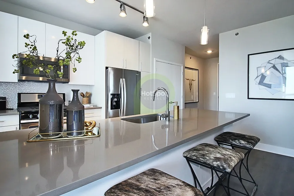 801 S Financial Pl, ,  60605, USA 60605-unit#3/2-Chicago-IL