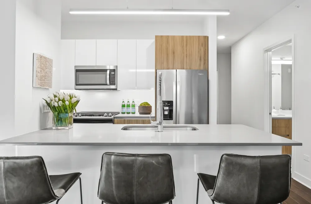 313 W Wolf Point Plaza, ,  60654, USA 60654-unit#3/3-Chicago-IL