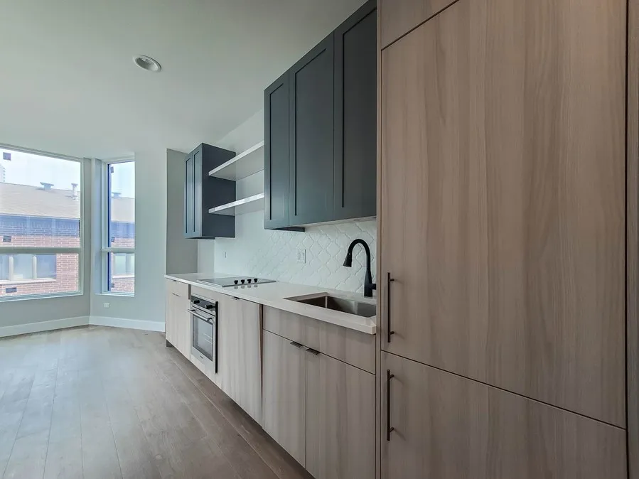 1201 N Clark St, ,  60610, USA 60610-unit#1/1-Chicago-IL