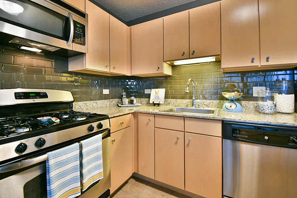 225 N Columbus Dr, ,  60601, USA 60601-unit#STUDIO-Chicago-IL