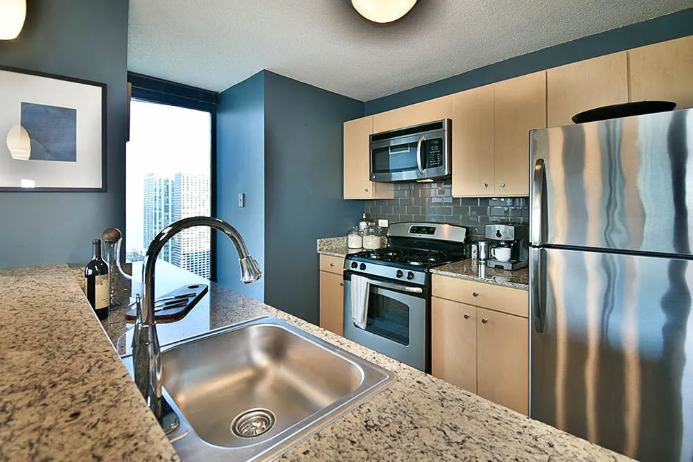 225 N Columbus Dr, ,  60601, USA 60601-unit#2/2-Chicago-IL