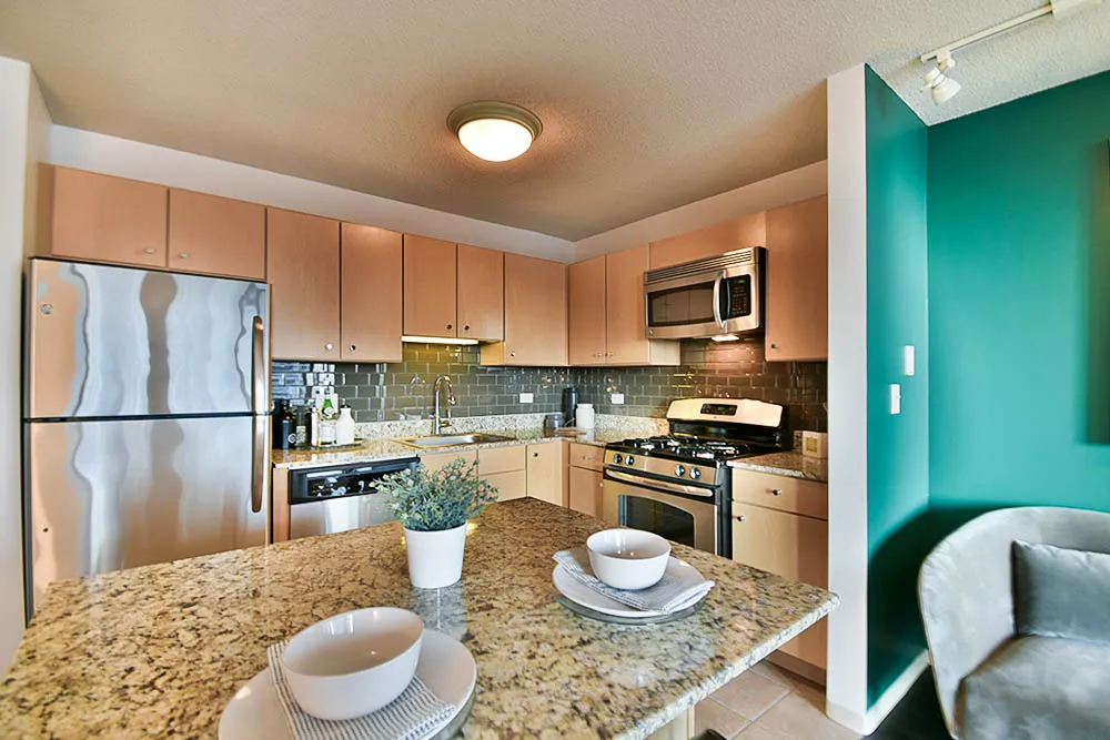 225 N Columbus Dr, ,  60601, USA 60601-unit#1/1-Chicago-IL