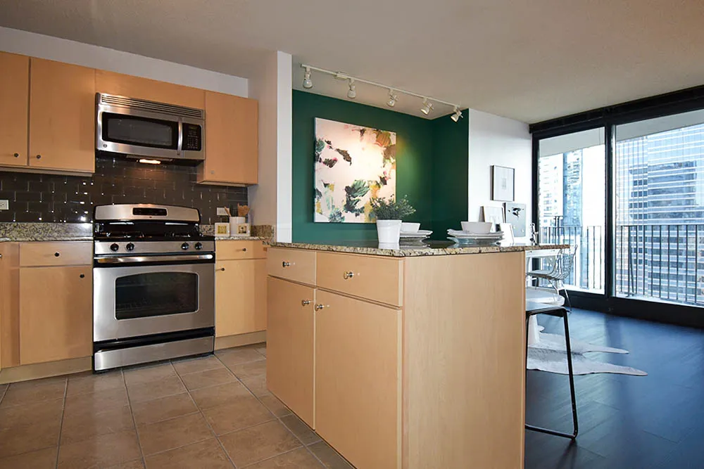 225 N Columbus Dr, ,  60601, USA 60601-unit#1/1-Chicago-IL