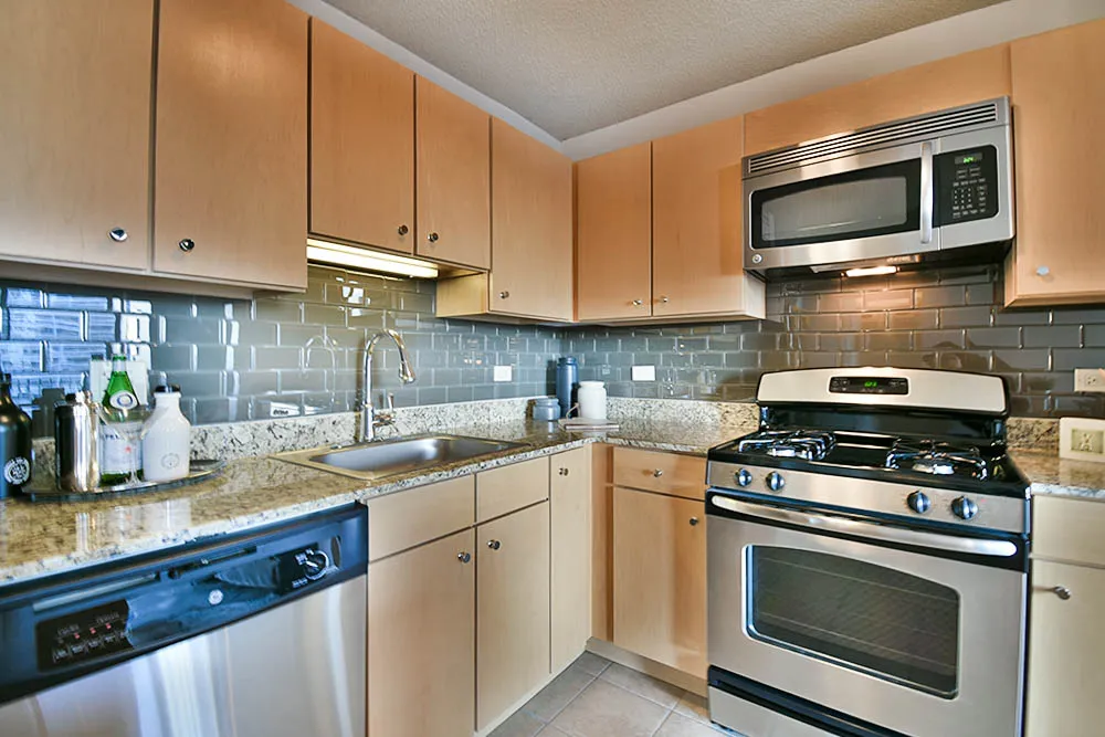 225 N Columbus Dr, ,  60601, USA 60601-unit#1/1-Chicago-IL