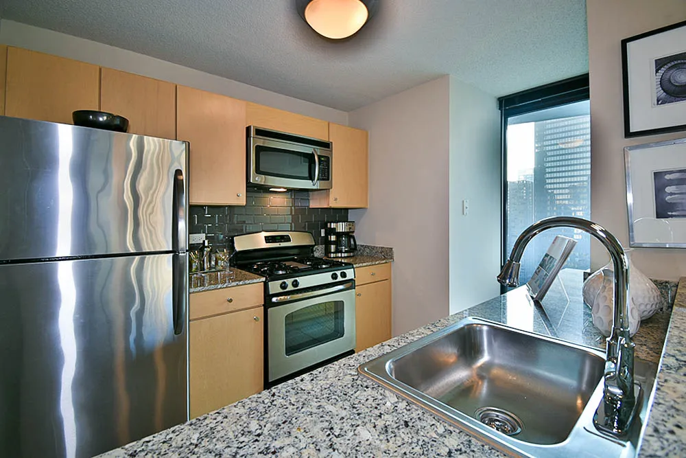 225 N Columbus Dr, ,  60601, USA 60601-unit#1/1-Chicago-IL