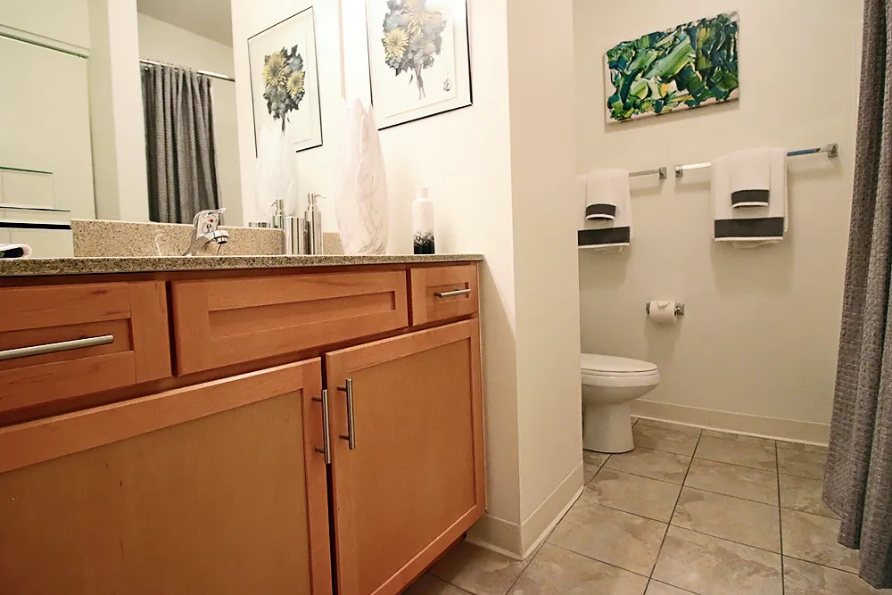 900 S Clark St, ,  60605, USA 60605-unit#1/1-Chicago-IL