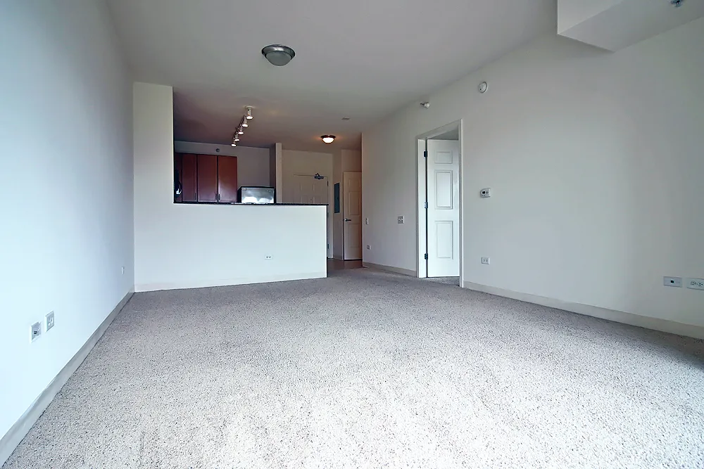 900 S Clark St, ,  60605, USA 60605-unit#1/1-Chicago-IL