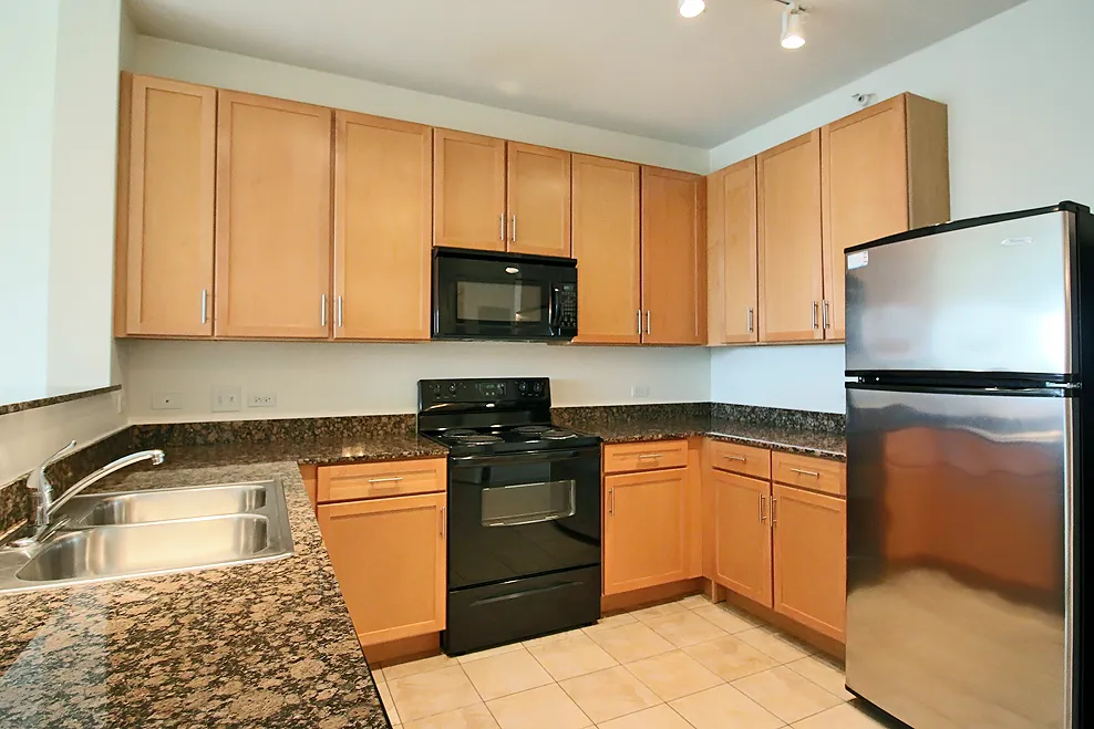 900 S Clark St, ,  60605, USA 60605-unit#1/1-Chicago-IL