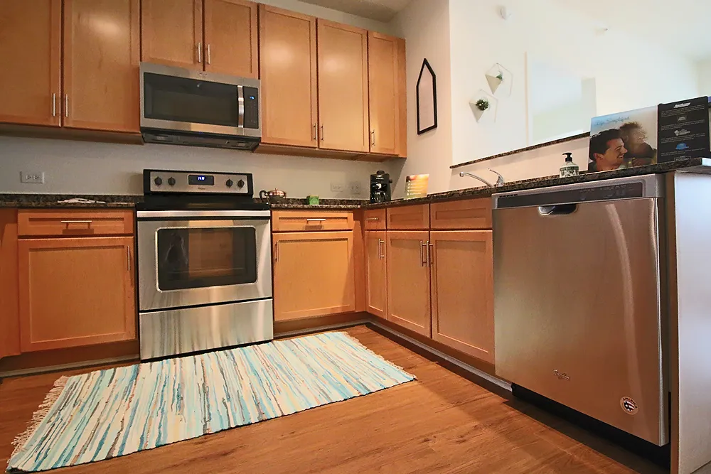 900 S Clark St, ,  60605, USA 60605-unit#2/1-Chicago-IL